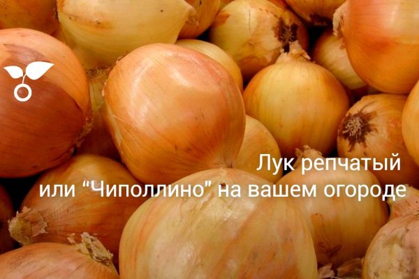 Кракен зон