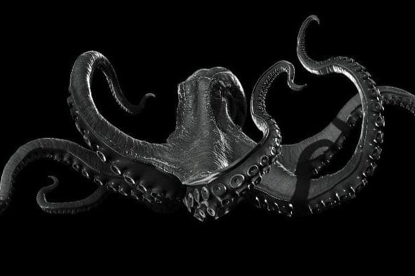 Kraken 12 att