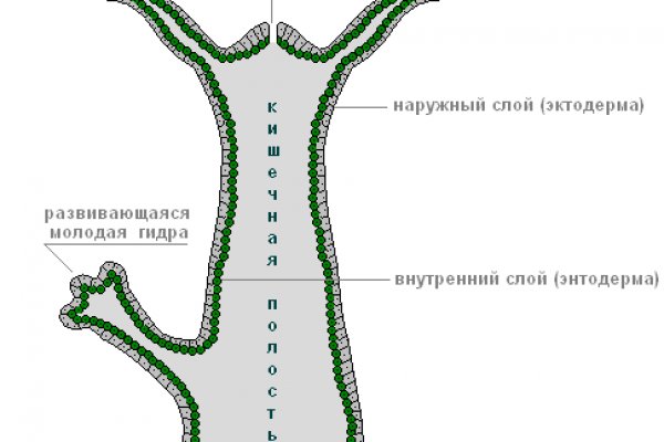 Зеркало на кракен