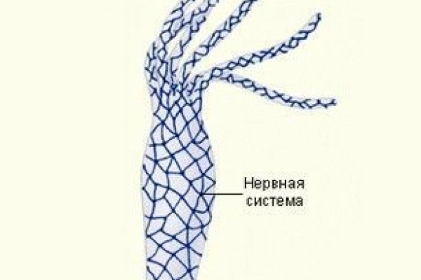Кракен ссылка