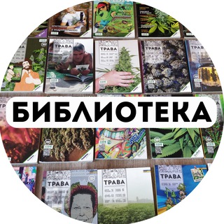 Кракен упал