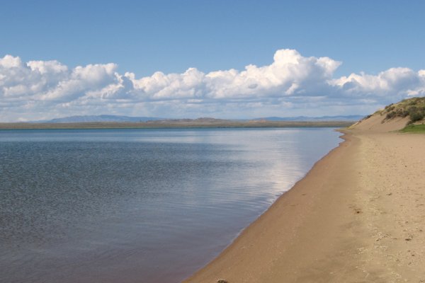 Кракен супернет тор