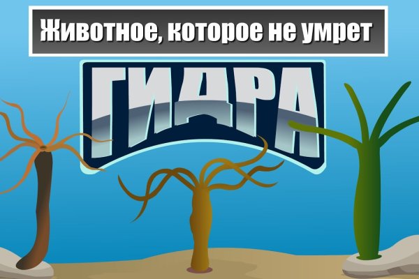 Кракен супернет зеркало пв