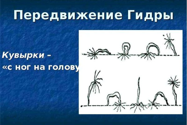 Не могу зайти в кракен
