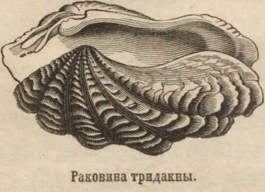 Kraken ссылка зеркало официальный